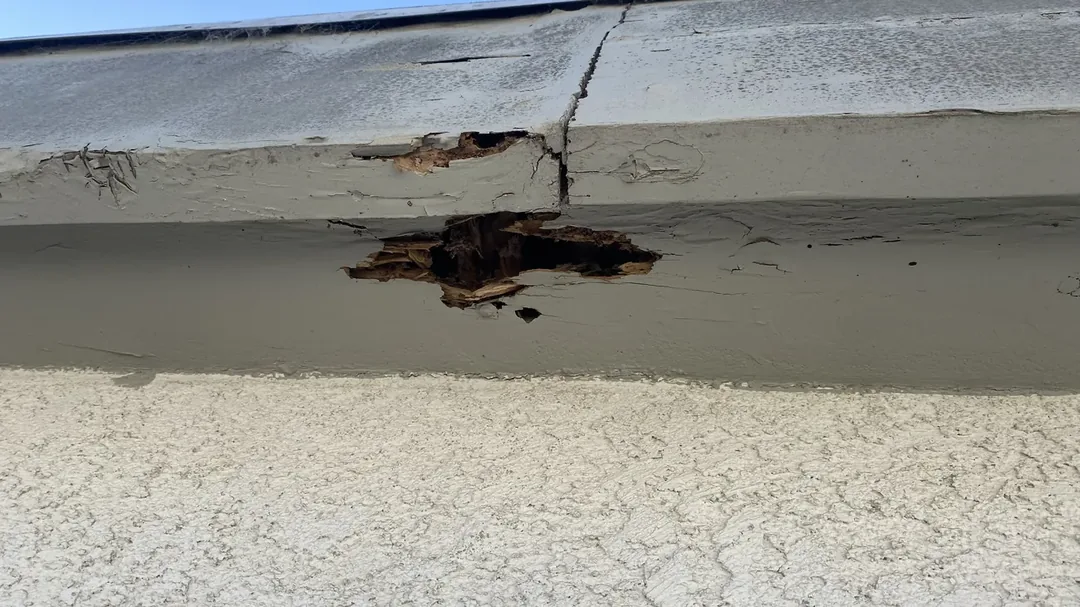 Real drywood termite damage chewed through the eaves of a San Gabriel Valley home