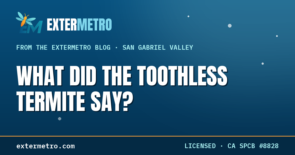 What Did The Toothless Old Termite Say When He Entered